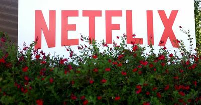 Netflix boss warns adverts are on the way