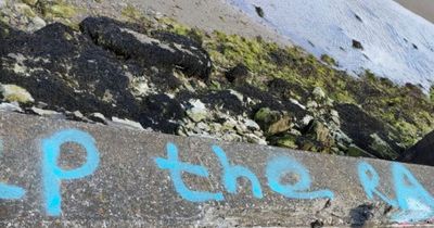 'Disgusting' racist slurs graffitied along beautiful Dublin beach
