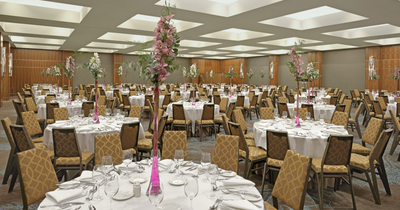 Edinburgh Dog and Cat Home to host A Dug’s Dinner for pampered pooches