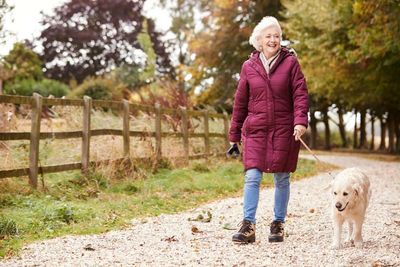 It’s just me and the dog – are we a ‘hard-working family’?