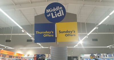 'I took a trip to the middle aisle of Lidl and found home items for less than £30 - my top five picks'