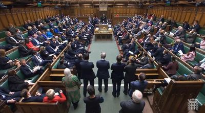 Snap elections may have let unsuitable MPs slip through, says Commons Leader