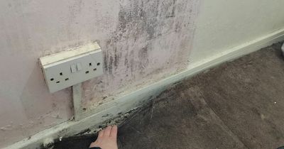 'My flat is so mouldy it spreads to furniture and clothes and makes my daughter itch'