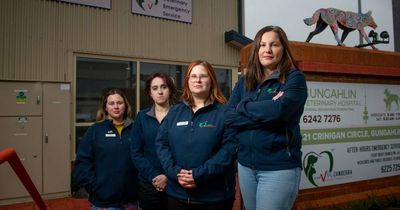 Only one after-hours vet remains open in the ACT