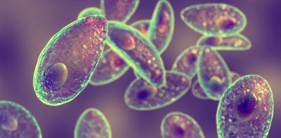 One in three people are infected with _Toxoplasma_ parasite – and the clue could be in our eyes