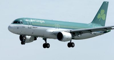 Aer Lingus boss gives timeline for flight price increase as holidaymakers urged to book soon