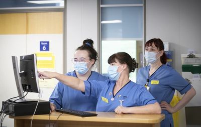 Nursing is one of the top three most important professions – poll