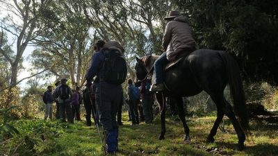 High Country logging unites graziers, green groups in effort to stop Little Dargo River harvest