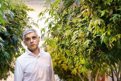 Sadiq Khan appoints drugs tsar to explore legalising cannabis