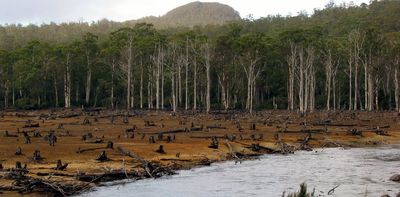 4 reasons why the Morrison government's forestry cash splash is bad policy