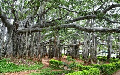 Top news developments in Karnataka on May 12, 2022