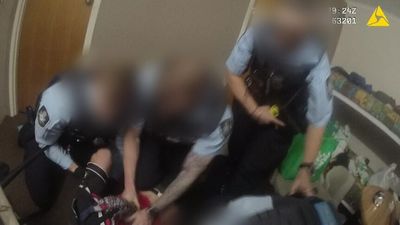 Arrest of Aboriginal man Luke Marsh who was tasered, pepper-sprayed referred to ACT Policing's professional standards unit