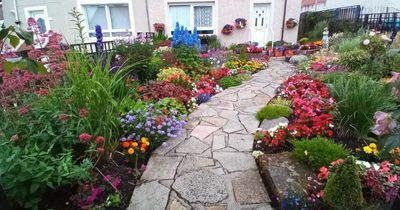 Entries now open for North Lanarkshire In Bloom Garden Awards