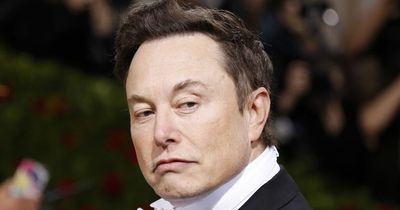'Liberals' are showing their true intolerant nature after the furore over Elon Musk's takeover of Twitter
