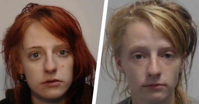 Cops release images of wig-wearing woman wanted on suspicion of theft