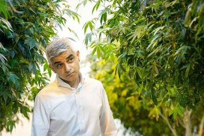 Sadiq Khan forced to defend review of cannabis laws