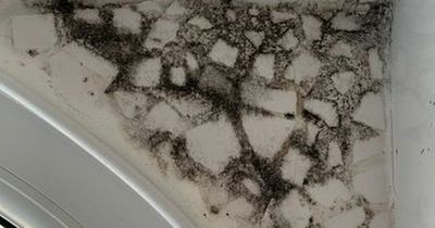 The mould-removing spray Mrs Hinch fans love that can 'transform bathrooms'