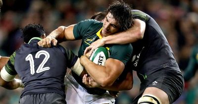 Ireland and South Africa to clash in November - 11 months out from World Cup meeting