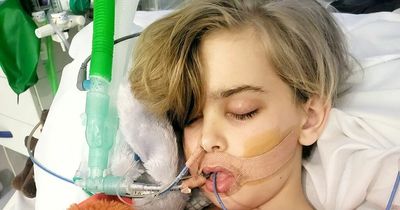 Mum begs doctors to give son more time after 'freak accident' left him in a coma
