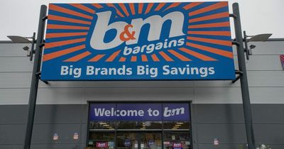 B&M shoppers rave over 'bargain' £25 swing chair perfect for relaxation
