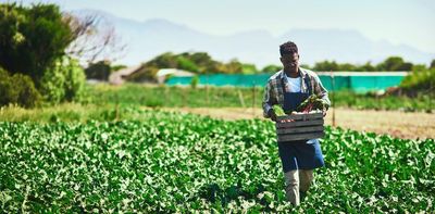 Black farmers in South Africa need support: how it could be done