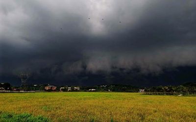 Monsoon may reach Kerala early, onset over Andaman likely on May 15