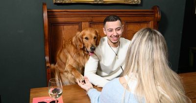 Tinder announces first Scots pop-up pub experience where you can take your dog as a wingman