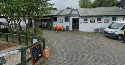 Edinburgh Love Gorgie Farm has animals stolen with guinea pig still missing