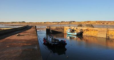 Beadnell Harbour could be closed to public as daredevils risk death diving in front of moving boats