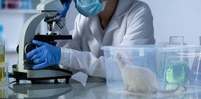 Laboratory mice are usually distressed and overweight, calling into question research findings