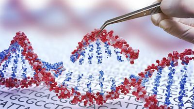 Crispr Therapeutics Rallies As It Plots Out Its Next Cancer Move Vs. Gilead, Novartis