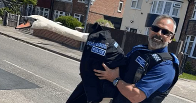 Swan dons police uniform after being rescued from Attenborough road