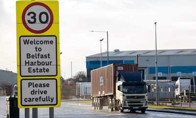 Experts scorn UK government claim it can ditch parts of NI protocol