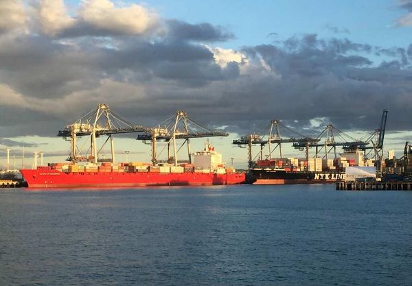 The critical importance of improving supply chain resilience