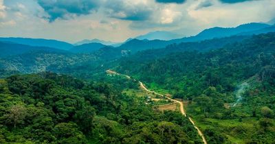 Devastating images show oiling and mining projects chipping away at the Amazon