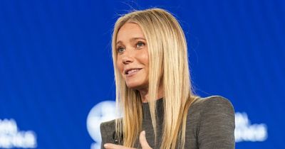 Gwyneth Paltrow's luxury nappy with gemstones and alpaca wool cost €115 per pack fools fans