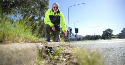 Is the ACT's public mowing program contributing to our lake problems?