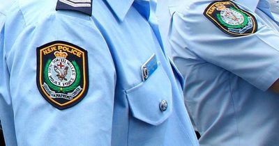 Four arrested over alleged pursuits, stolen vehicles