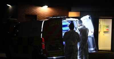 Murder arrest after woman found dead in flat