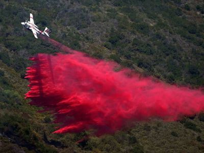 California's coastal fire has destroyed at least 20 homes