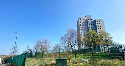 Proposal for new homes surrounding 19-storey Sneinton tower block that was recently renovated