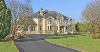 Inside Niall Horan's stunning Irish home as ex-One Direction singer puts mansion on the market