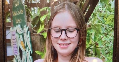Urgent appeal as police 'concerned for safety' of missing Nottinghamshire school girl