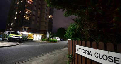 Murder arrest, Dad's multimillion pound firm and catcalling thug jailed