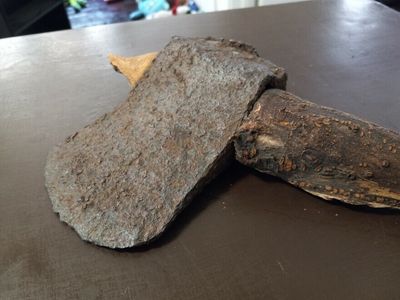 Kansas man finds a mythical-looking ax with a root for a handle in his front yard