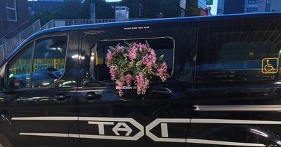 Glasgow taxi rank rammy as raging punter hurls pot of flowers through cab window