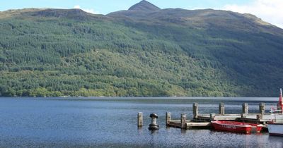 Major plans to harvest 125,000 tonnes of timber from Loch Lomond forest