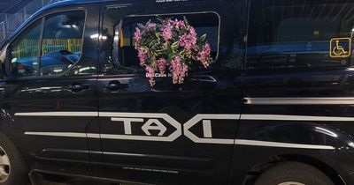 Glasgow taxi rank disturbance sees yob chuck plant pot through hackney window