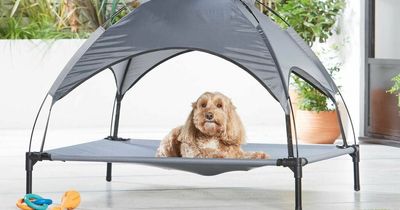 Aldi's sunshade dog bed is back in time for the heatwave - and it's only £20