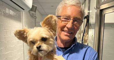 Paul O'Grady fans issue desperate plea to star after he is seen posing with dog